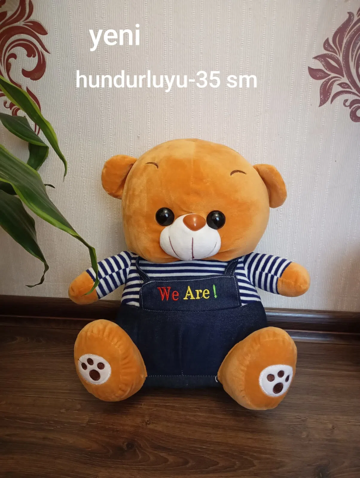 Ayiciqlar.Ekiz ayilar