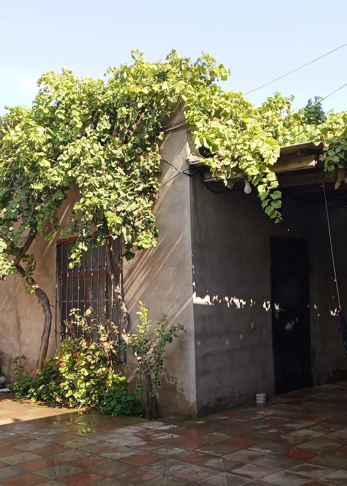 4 otaqlı həyət evi 275 m² - 6 sot torpaq sahəsində satılır — şəkil 17