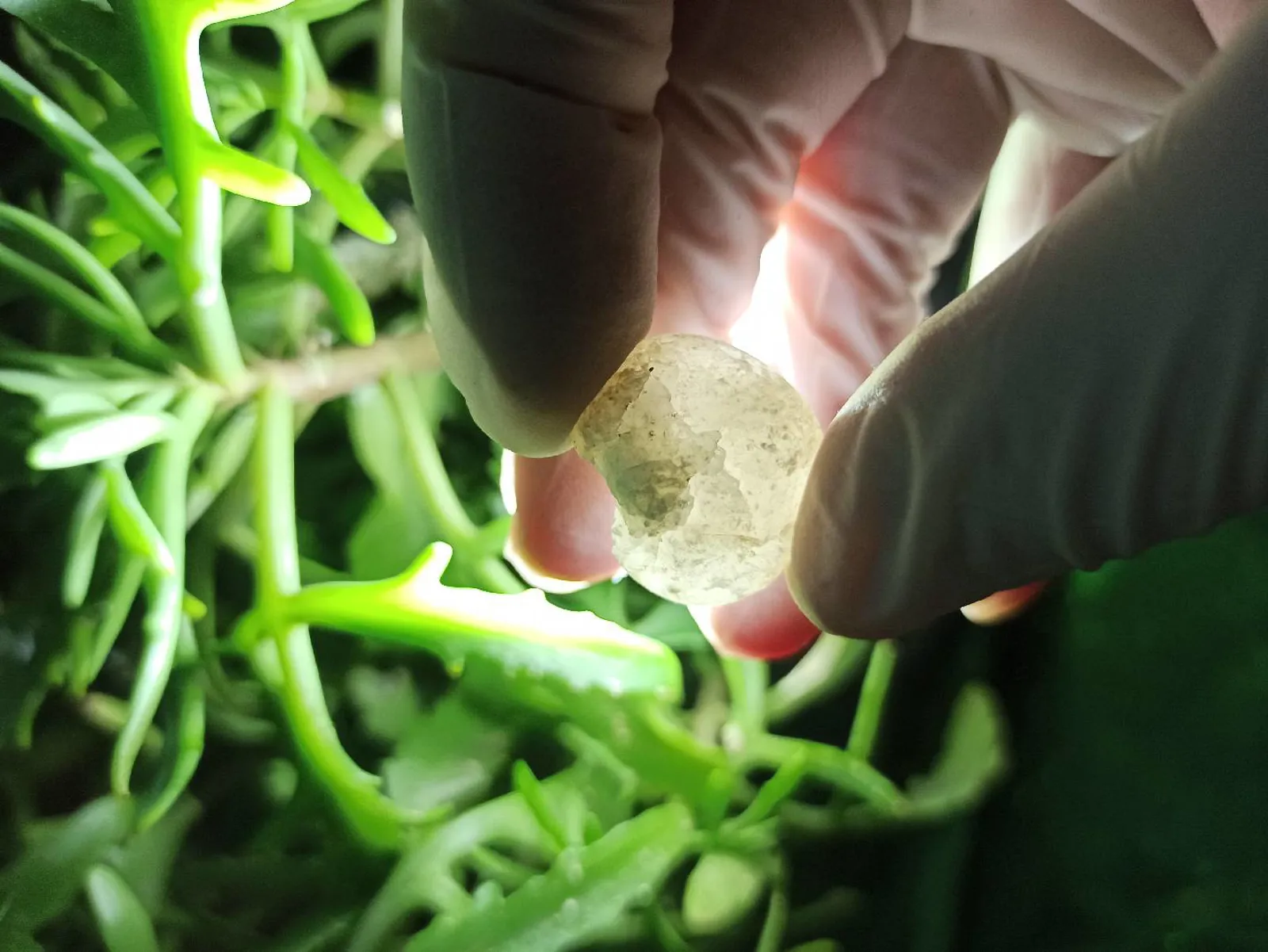 Mineral daşların Satışı 💎