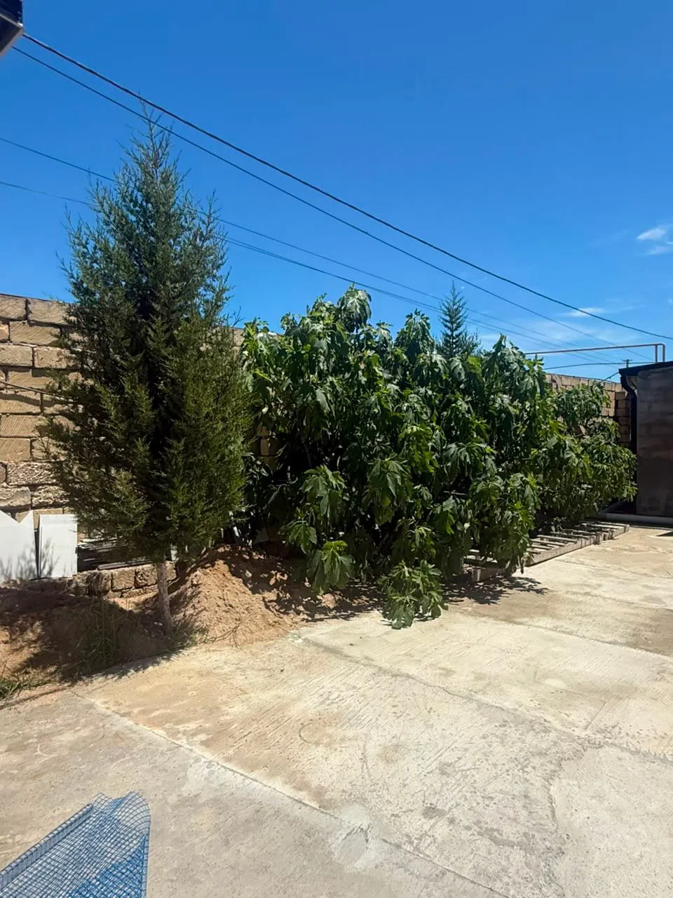 4 otaqlı bağ evi 256 m² 14 sot torpaq sahəsində satılır — şəkil 23