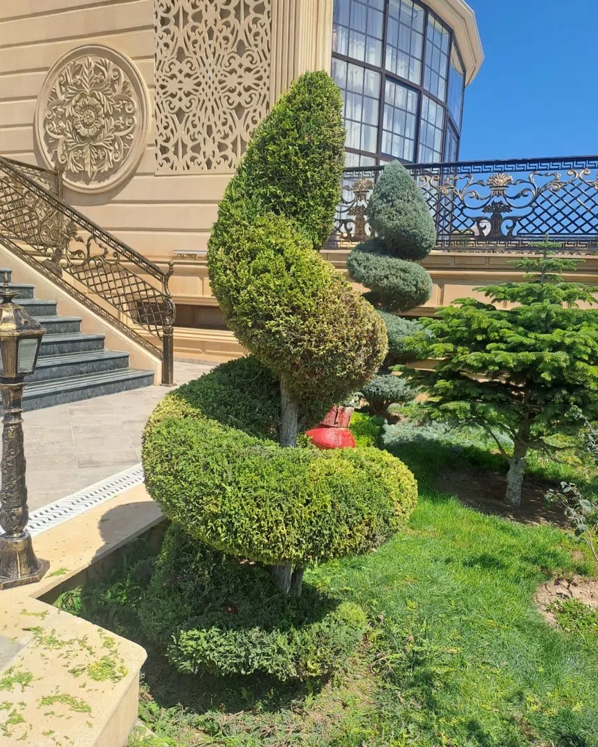 — şəkil 3