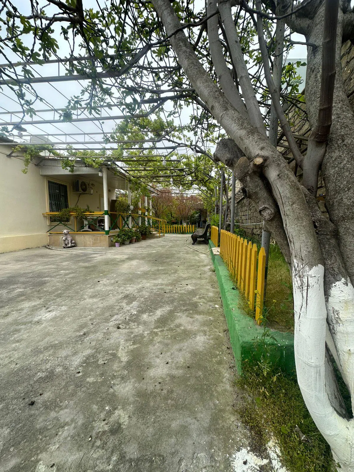 3 otaqlı bağ evi 120 m² 5 sot torpaq sahəsində satılır — şəkil 13