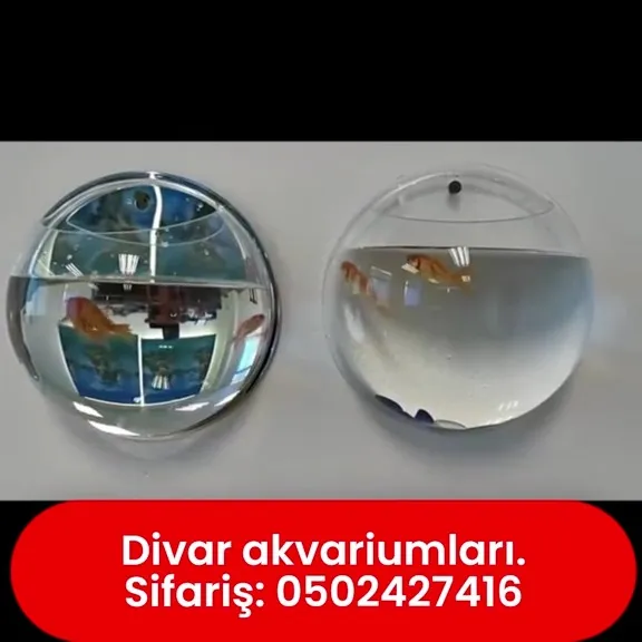 Divar akvariumları - Tenderyard