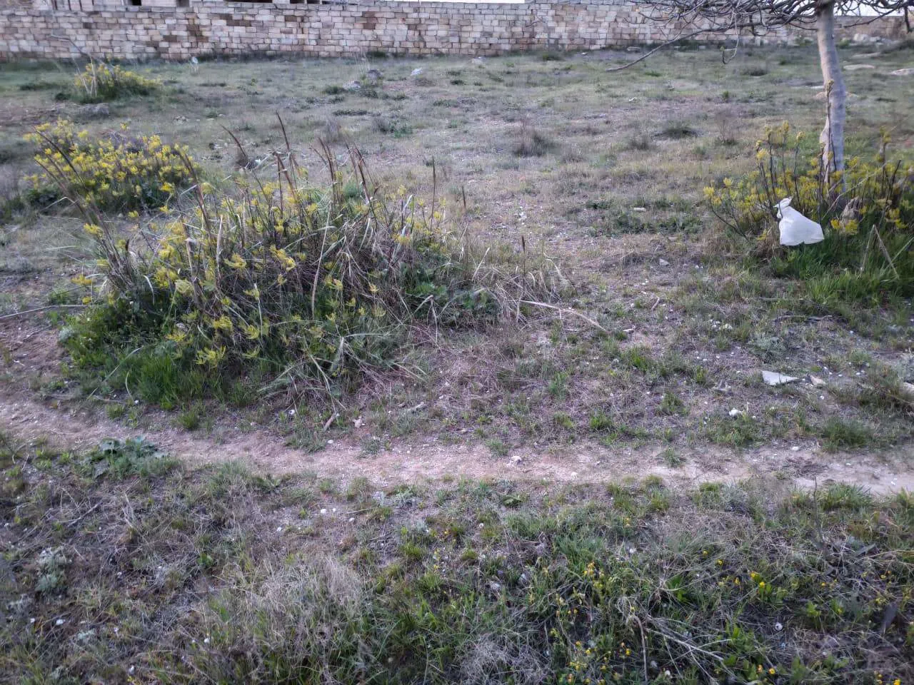 25 sot torpaq sahəsi satılır — şəkil 4