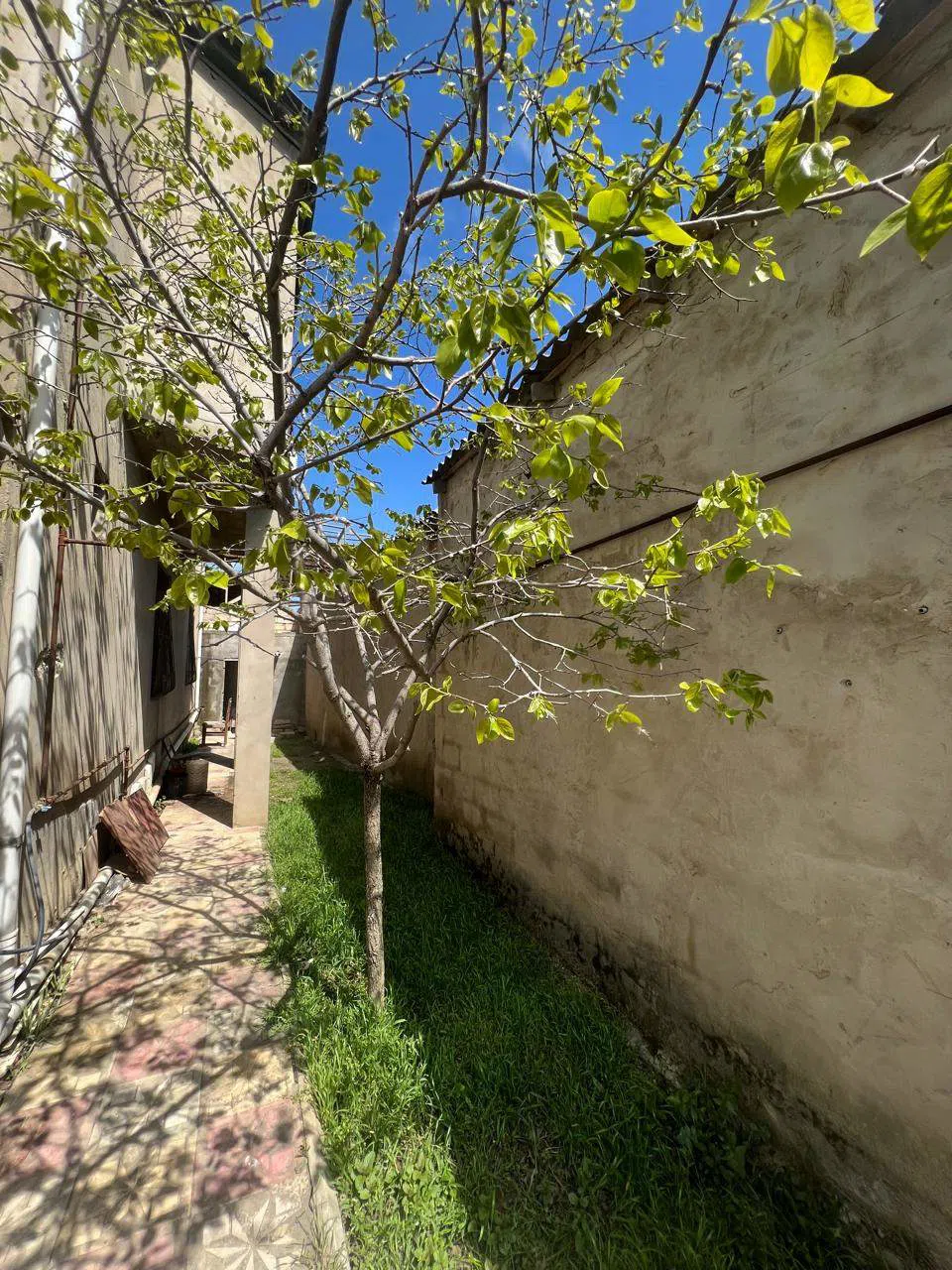 6 otaqlı həyət evi 250 m² - 5 sot torpaq sahəsində satılır — şəkil 15