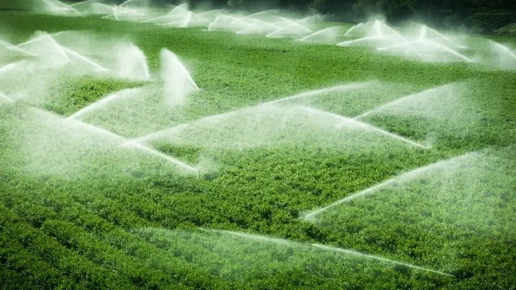 ZZ Plast Drip Irrigation Pipes - Tenderyard
