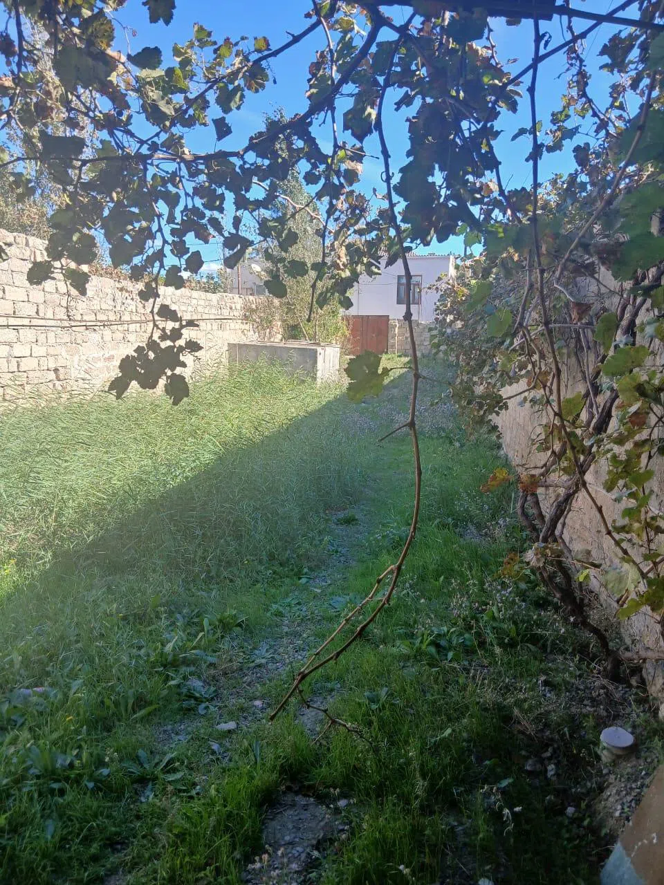 5.5 sot torpaq sahəsi satılır - Tenderyard