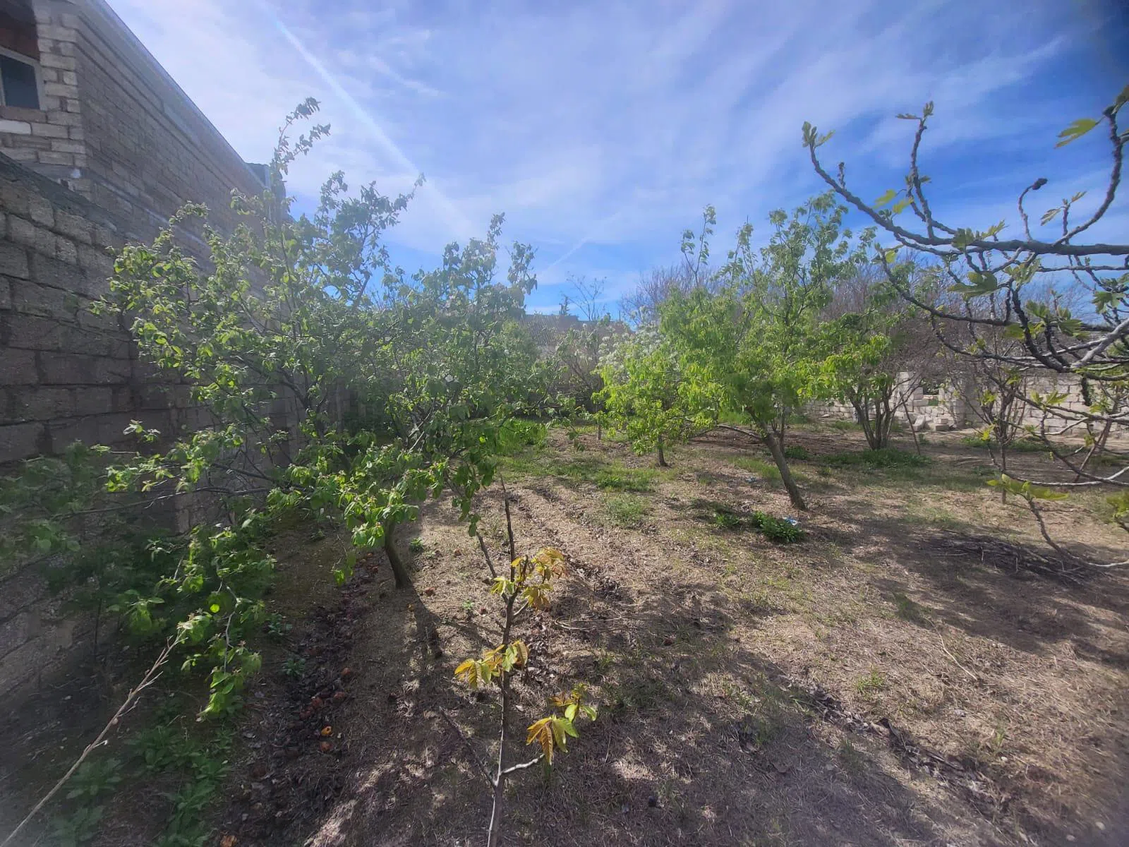 4 sot torpaq sahəsi satılır