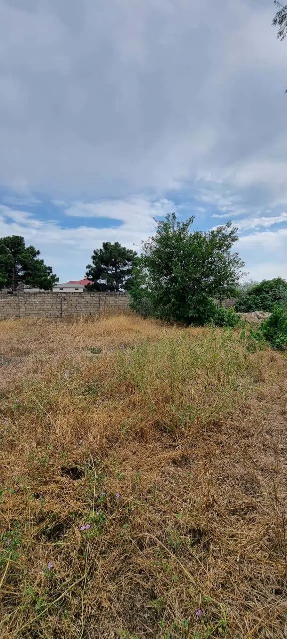 8 sot torpaq sahəsi satılır — şəkil 3