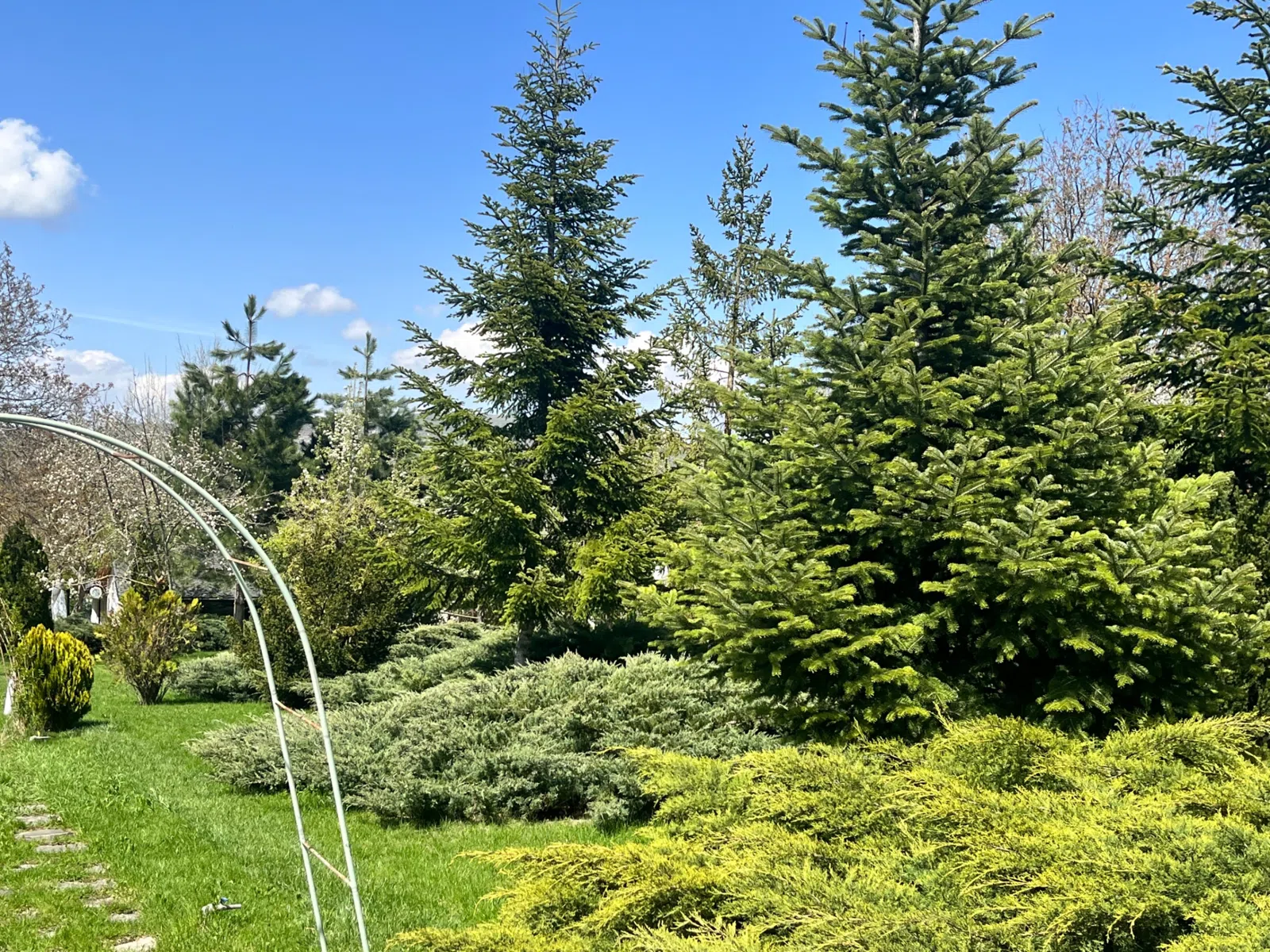 4 otaqlı həyət evi 300 m² - 32 sot torpaq sahəsində satılır — şəkil 7
