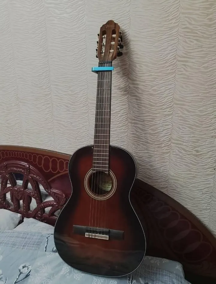 Bass gitara, 10 simli — şəkil 2