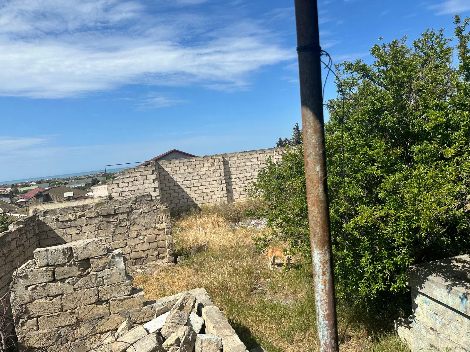 6.5 sot torpaq sahəsi satılır — şəkil 15