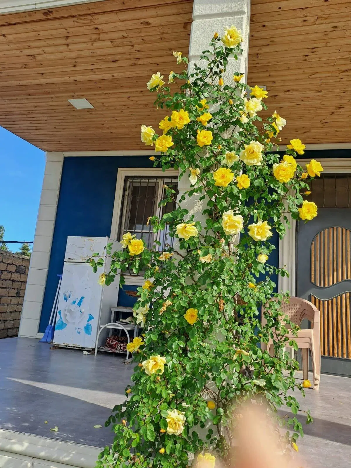 4 otaqlı bağ evi 100 m² satılır — şəkil 8