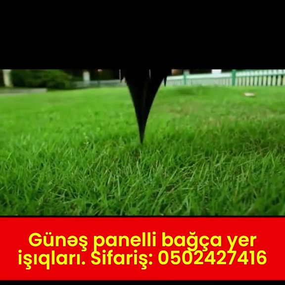 Solar-powered garden ground lights - Tenderyard