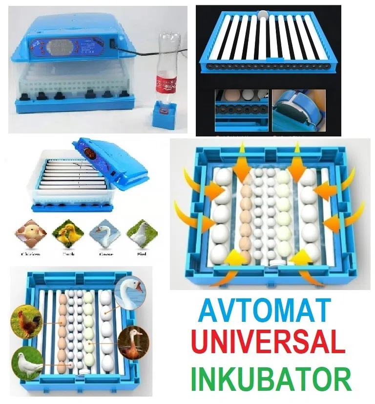 Tam avtomatik inkubatorlar, müxtəlif tutumlu — şəkil 4