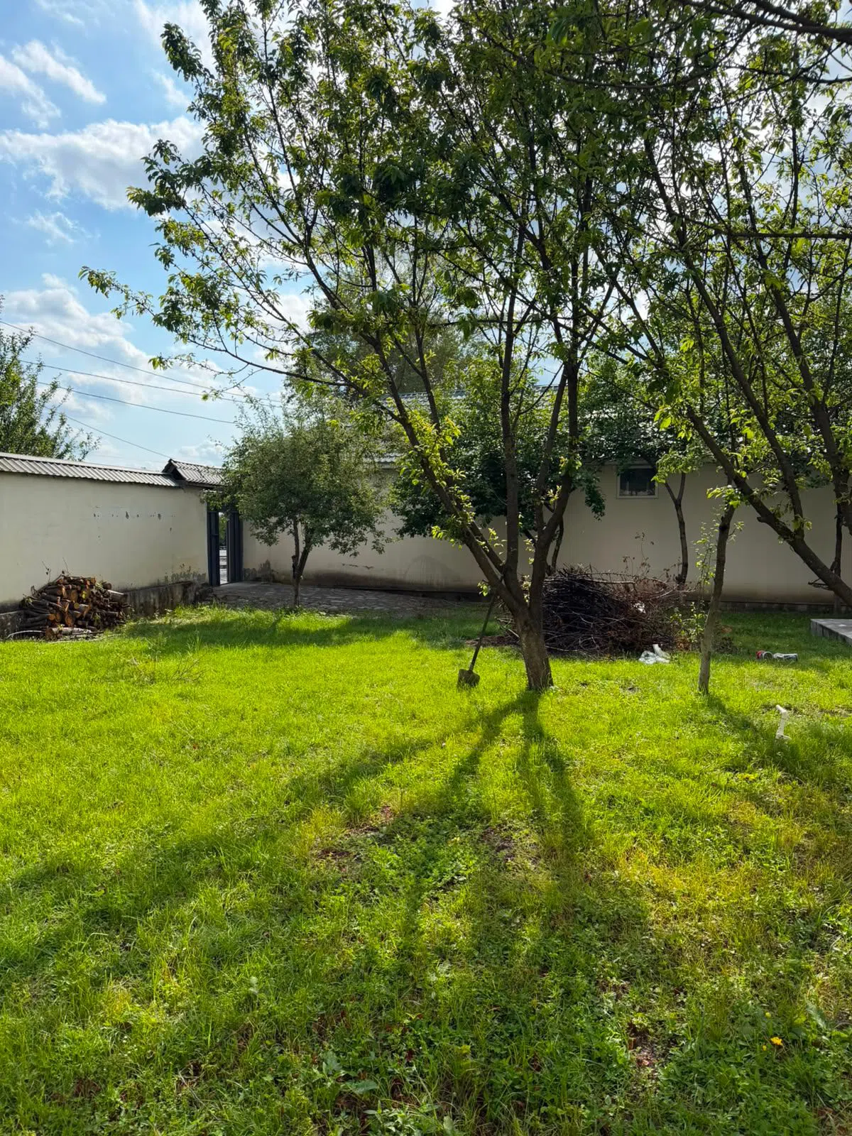 300 m² Yaxşı təmirli obyekt kirayə verilir — şəkil 4