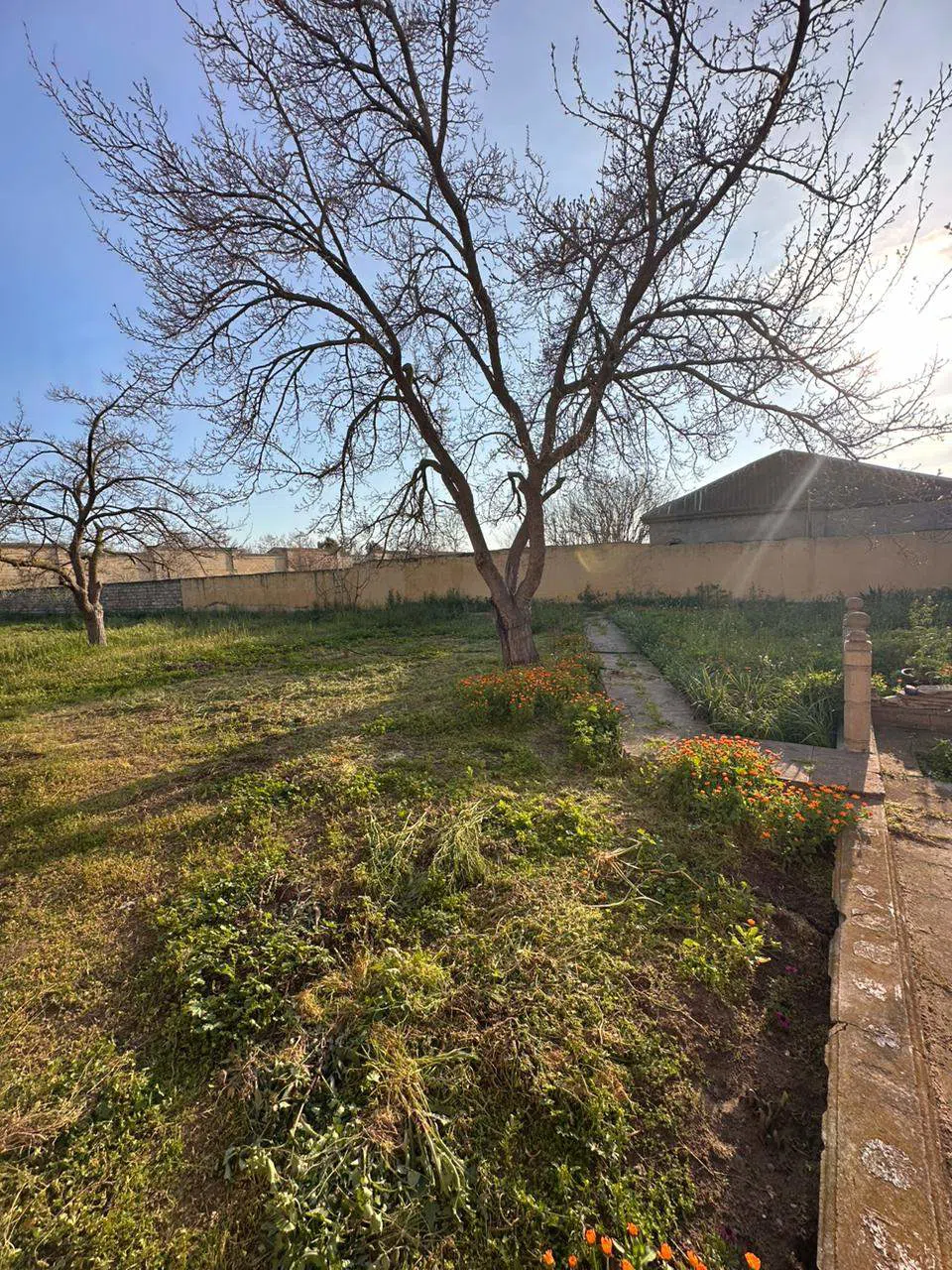 6 otaqlı bağ evi 308 m² 26 sot torpaq sahəsində satılır — şəkil 14