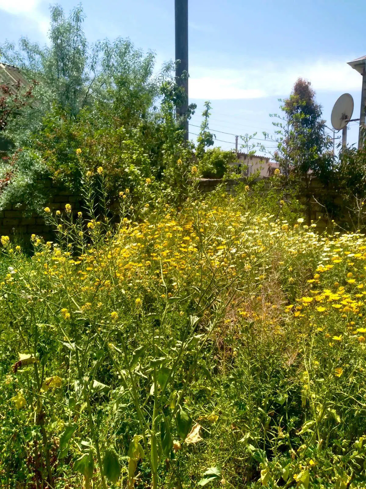 3 otaqlı həyət evi 60 m² satılır — şəkil 17