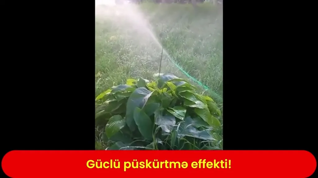 Su çiləyən şlanq dəsti - Tenderyard