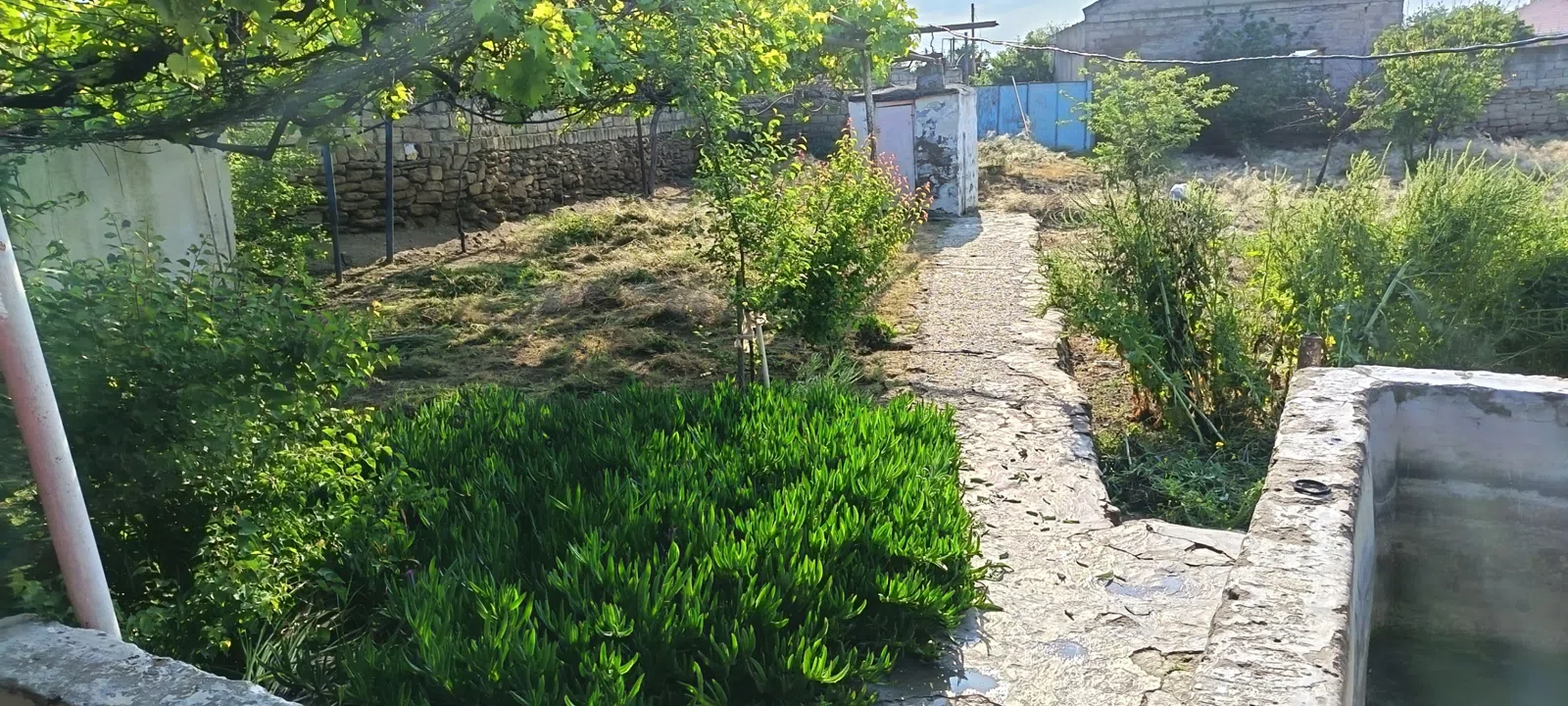 17.7 sot torpaq sahəsi satılır — şəkil 13