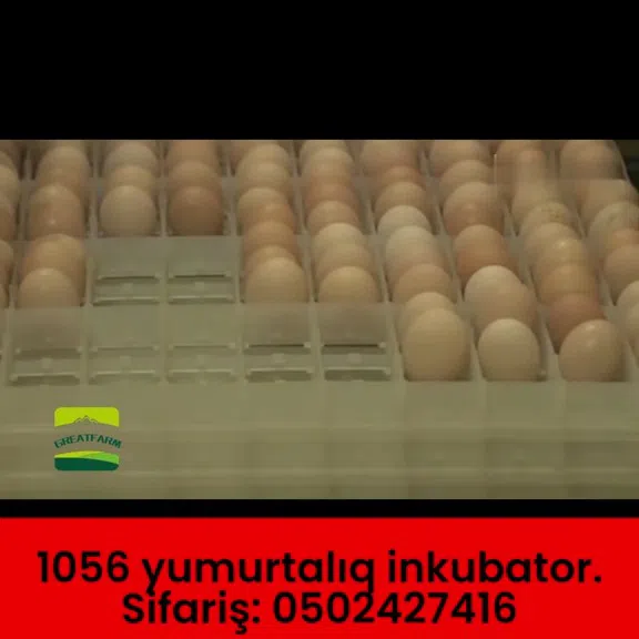Полностью автоматический инкубатор на 1056 яиц - Tenderyard