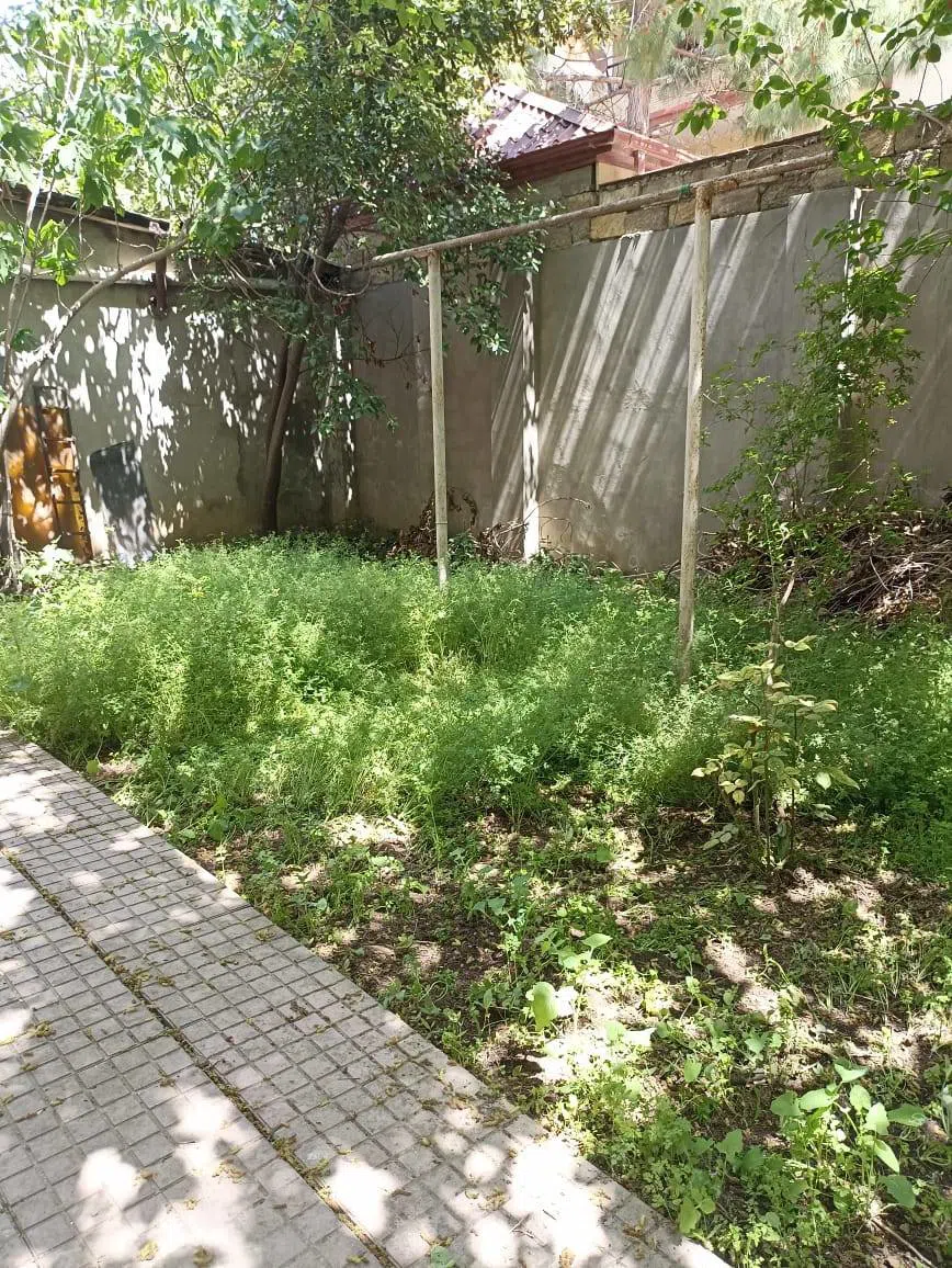 12 otaqlı villa 555 m² - 2 sot torpaq sahəsində kirayə verilir — şəkil 16