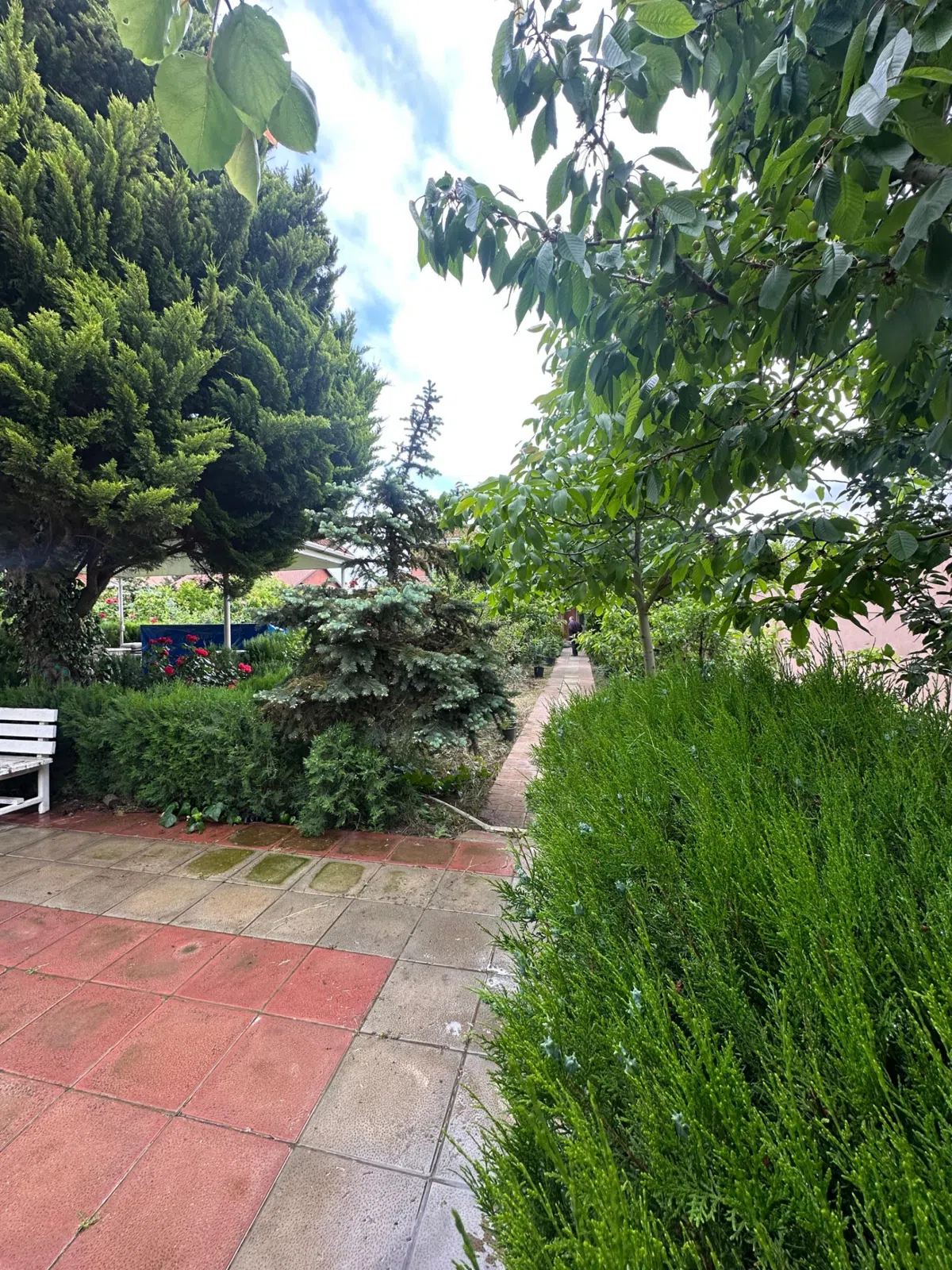 11 sot torpaq sahəsi satılır — şəkil 6
