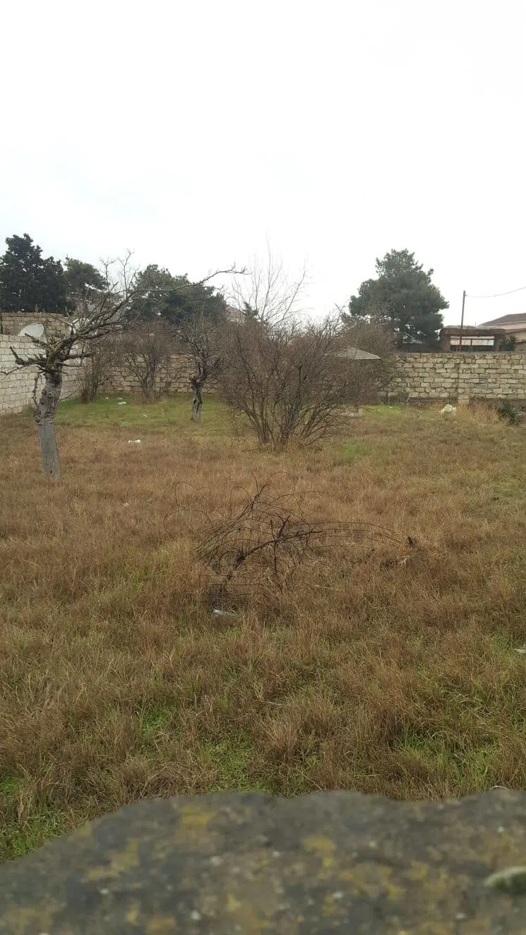 5 sot torpaq sahəsi satılır — şəkil 1
