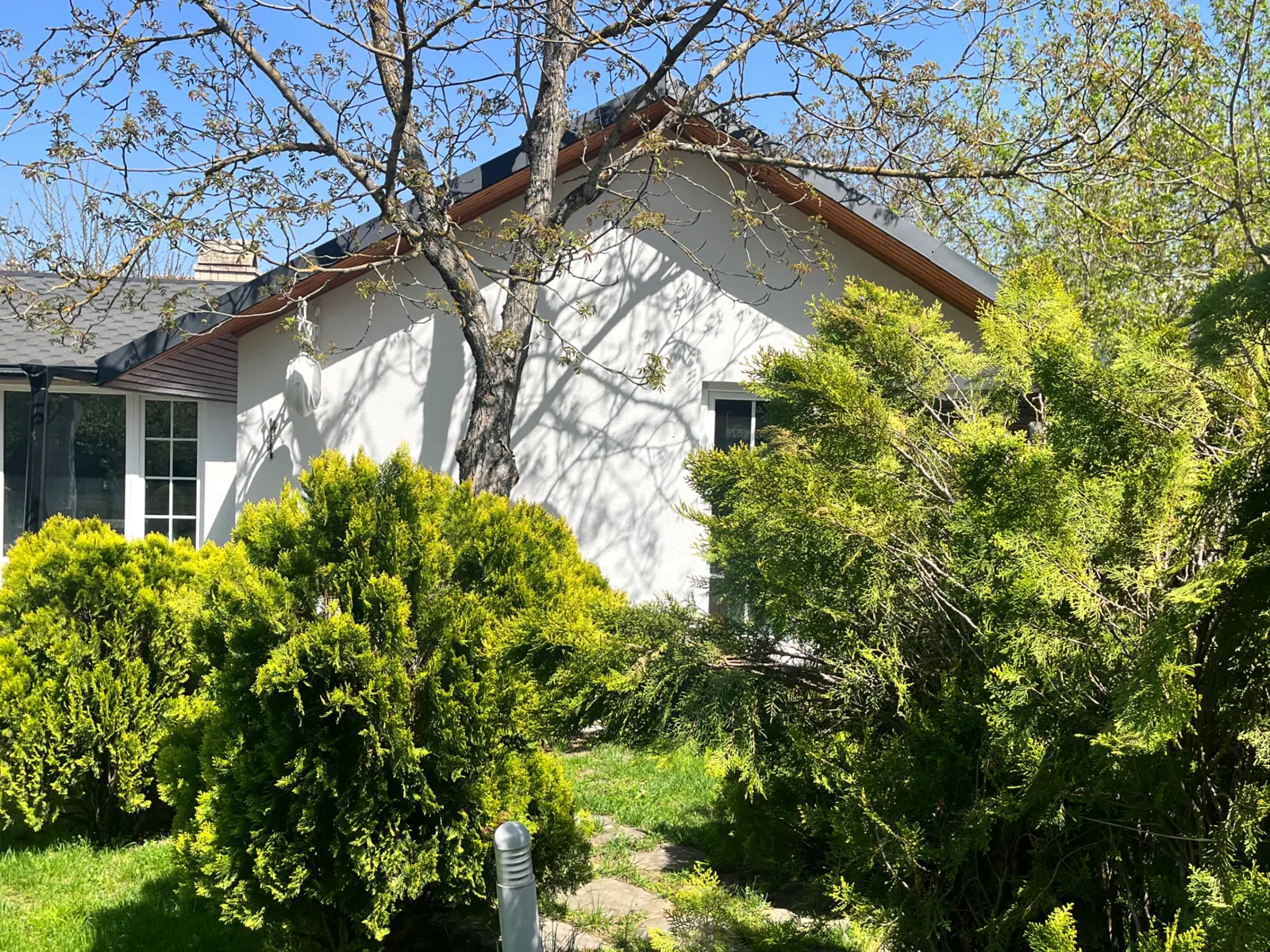 4 otaqlı həyət evi 300 m² - 32 sot torpaq sahəsində satılır — şəkil 25