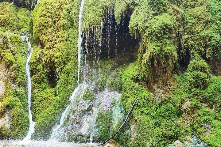 Qax-Şəki turu — şəkil 1