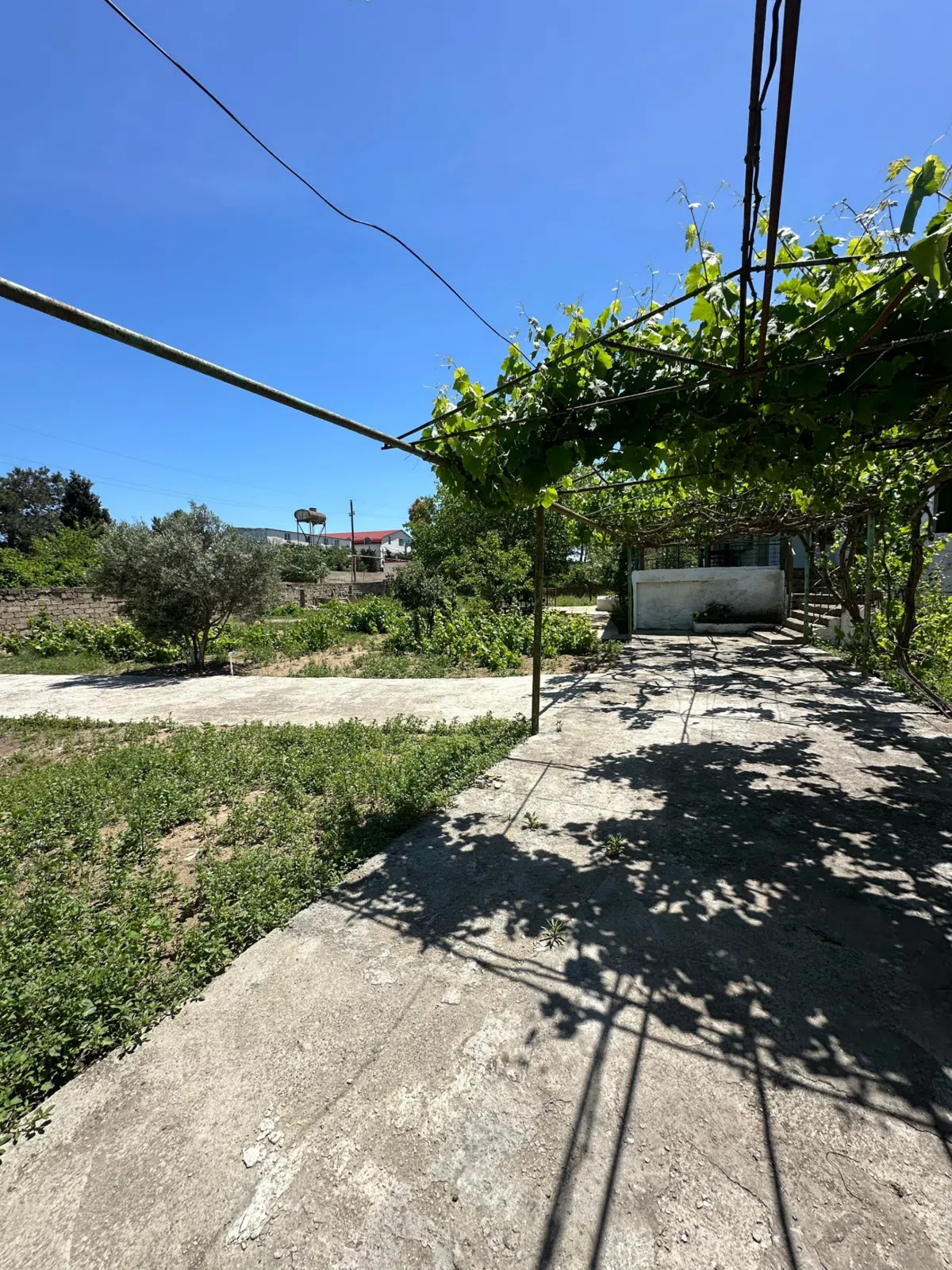 12 sot torpaq sahəsi satılır — şəkil 3