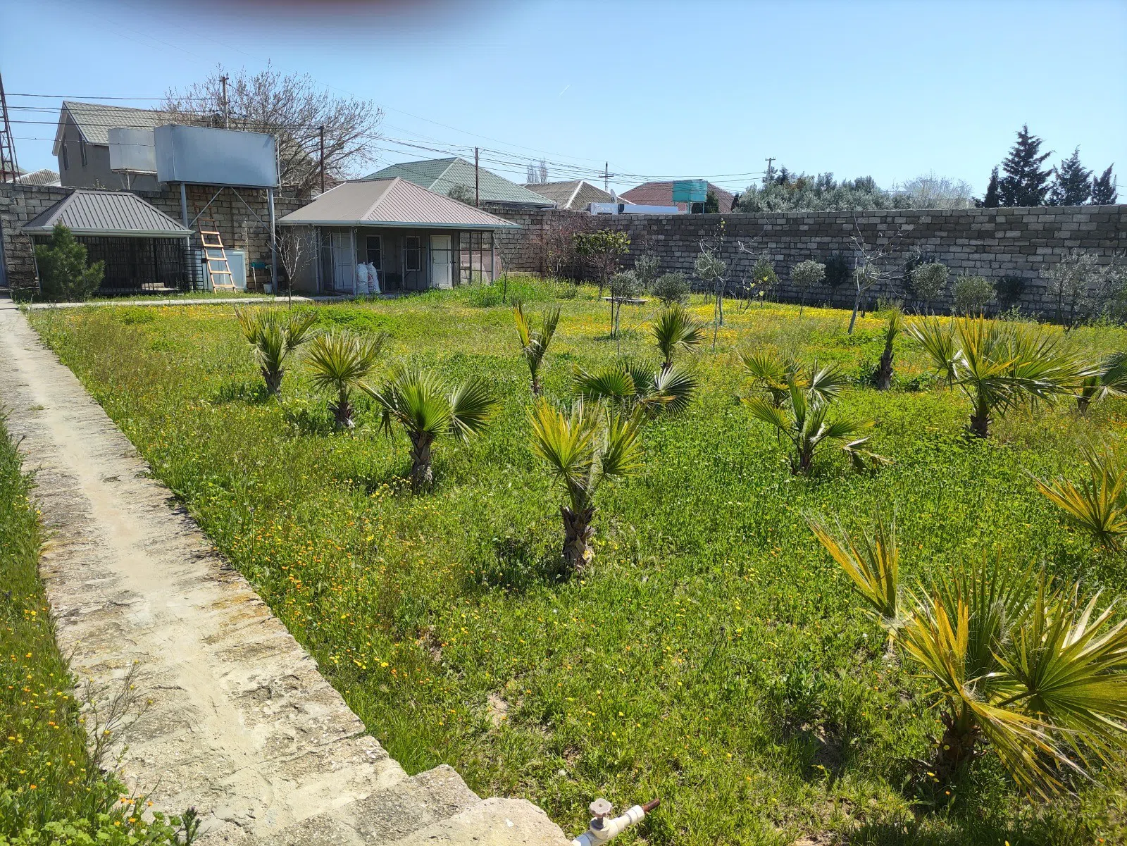 5 otaqlı həyət evi 504 m² - 24 sot torpaq sahəsində satılır