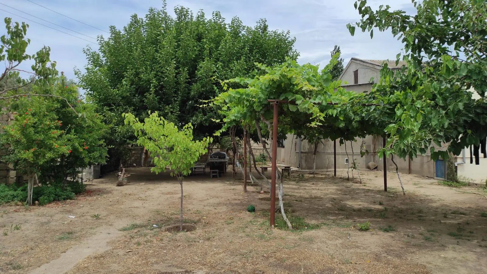 9 sot torpaq sahəsi satılır — şəkil 19