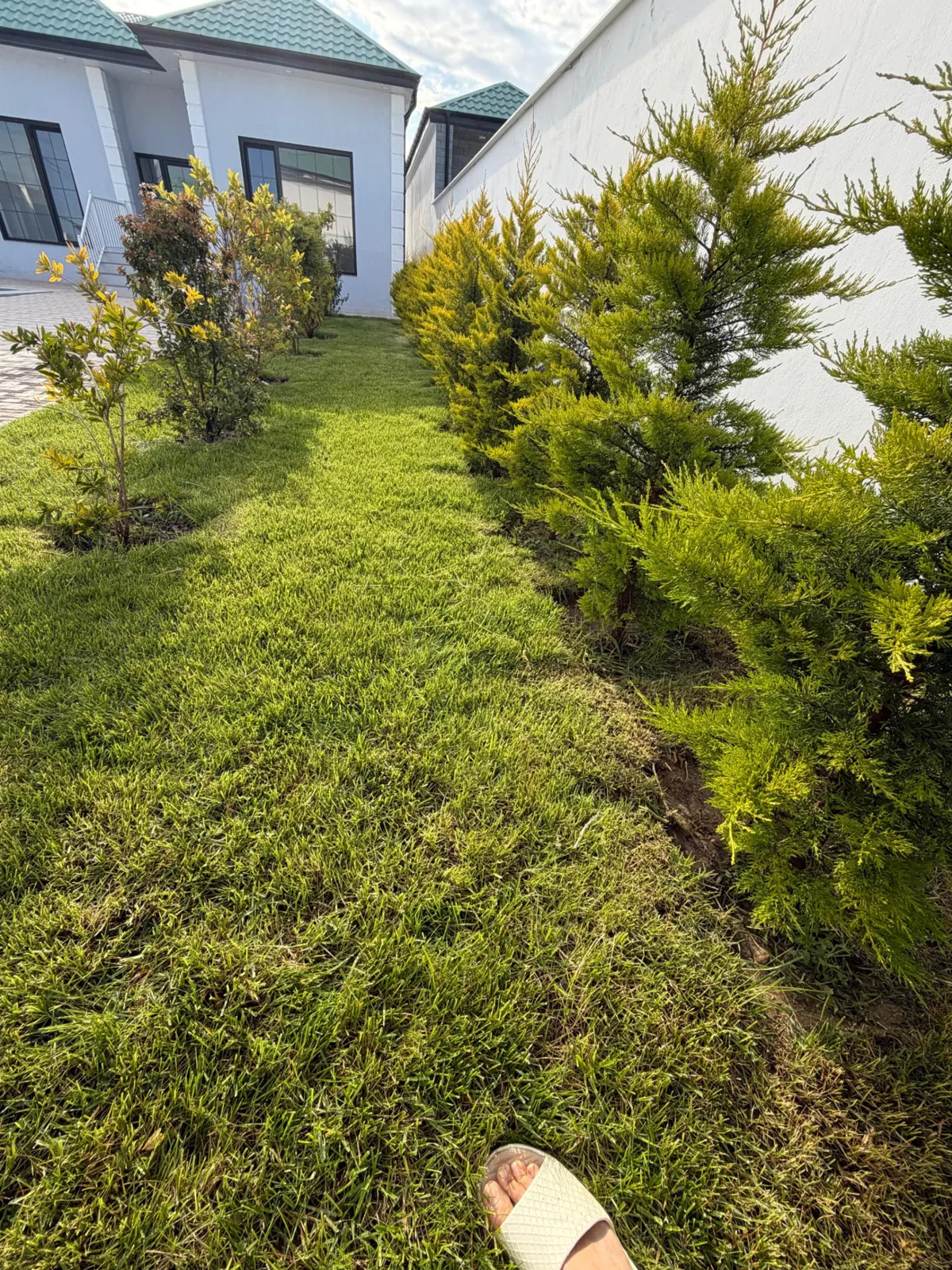 4 otaqlı bağ evi 150 m² 5 sot torpaq sahəsində satılır — şəkil 14