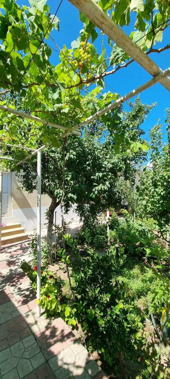 7 otaqlı həyət evi 200 m² satılır — şəkil 8