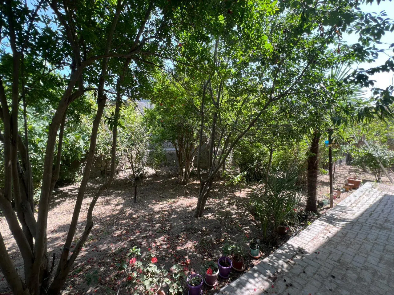 4 otaqlı bağ evi 140 m² 5.6 sot torpaq sahəsində satılır — şəkil 18