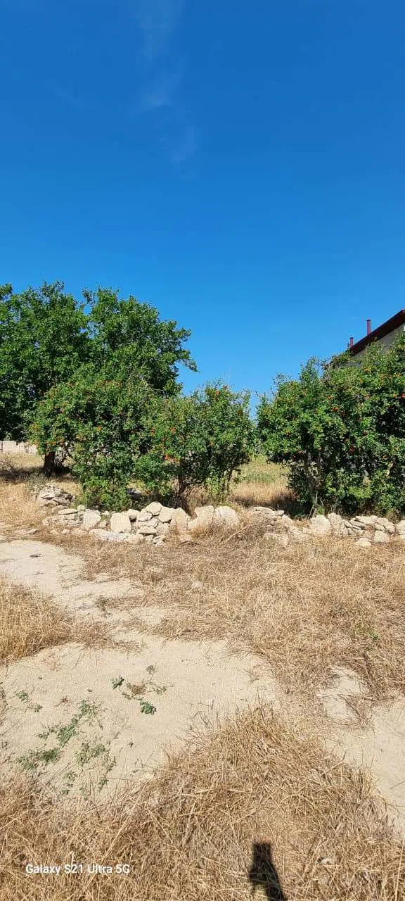 30 sot torpaq sahəsi satılır — şəkil 1