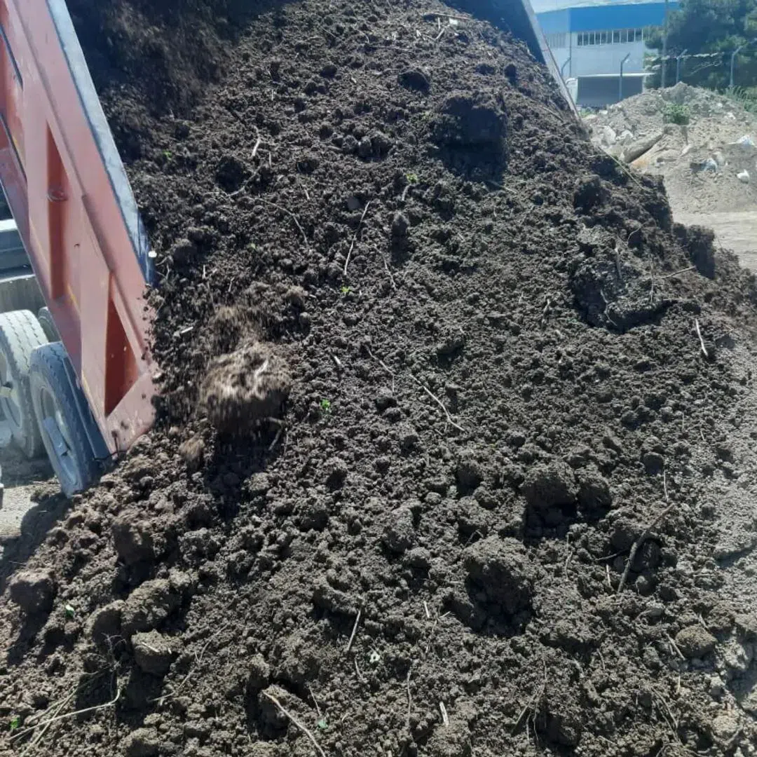 Qara torpağ peyin