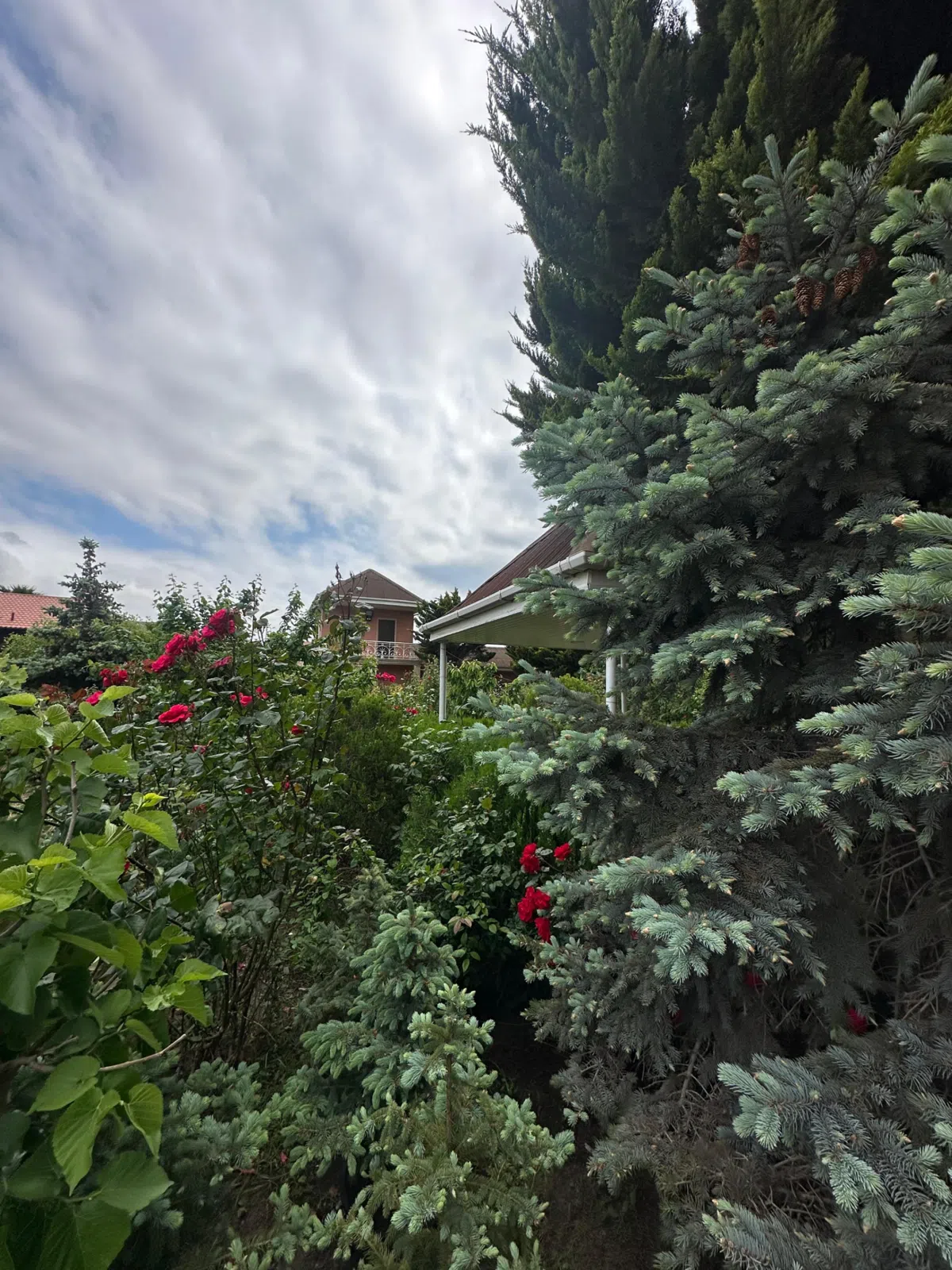 11 sot torpaq sahəsi satılır — şəkil 2