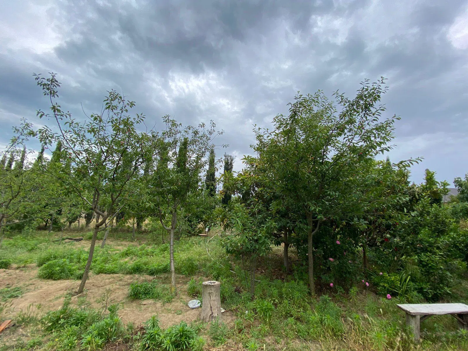 5 otaqlı mənzil 140 m² satılır