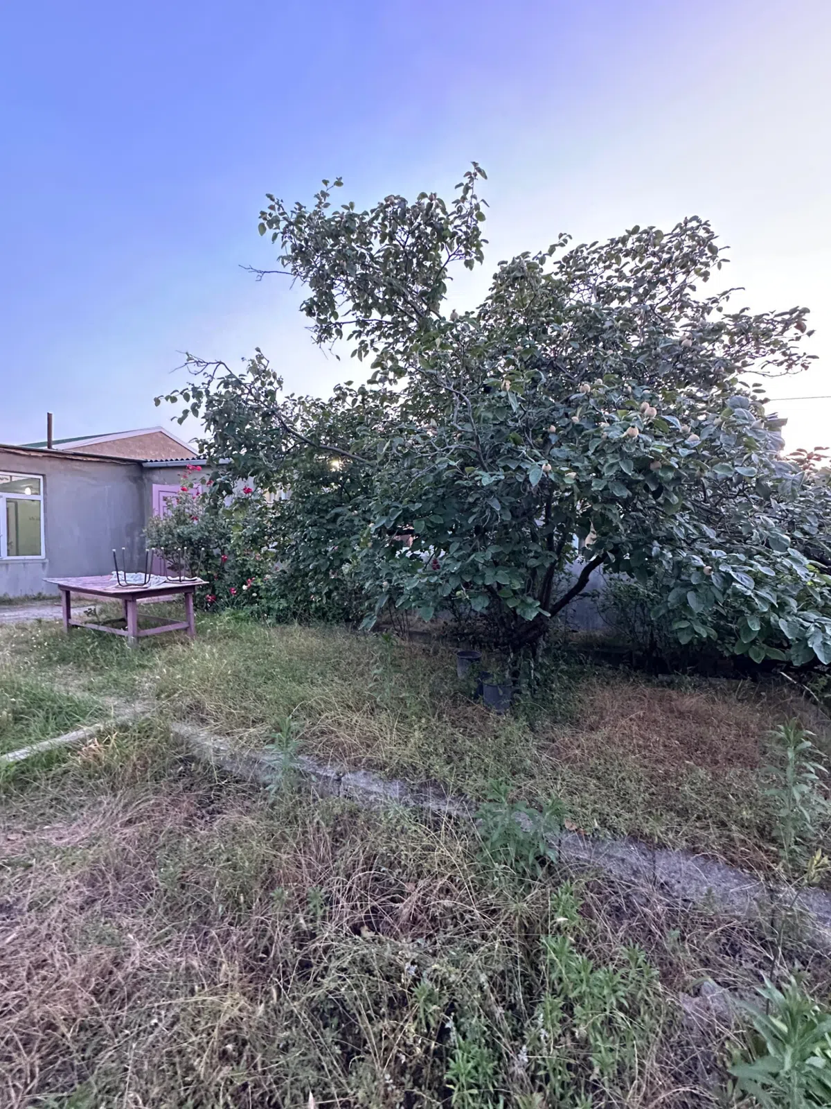 4 otaqlı həyət evi 100 m² - 6 sot torpaq sahəsində satılır — şəkil 1
