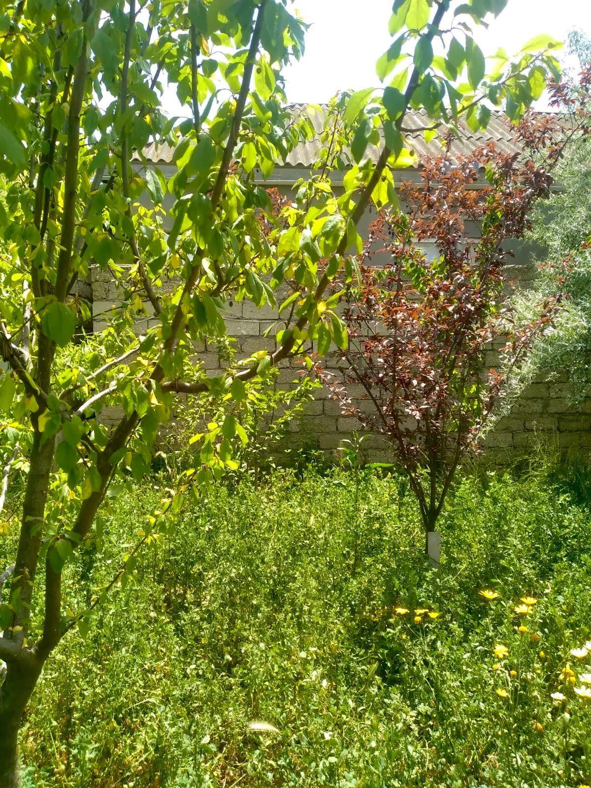 3 otaqlı həyət evi 60 m² satılır — şəkil 14