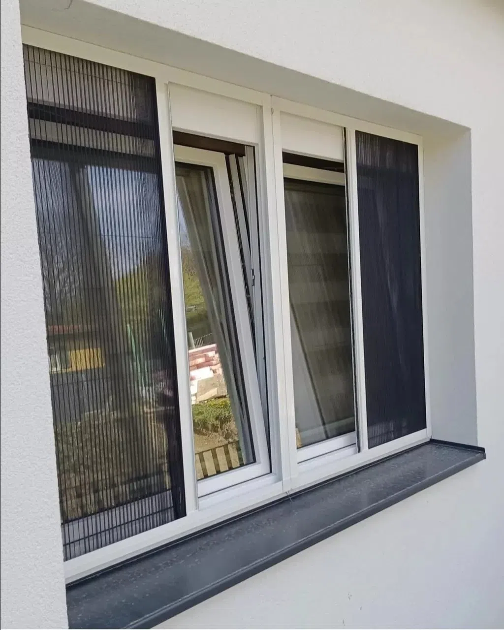 Plissə ağcaqanad toru