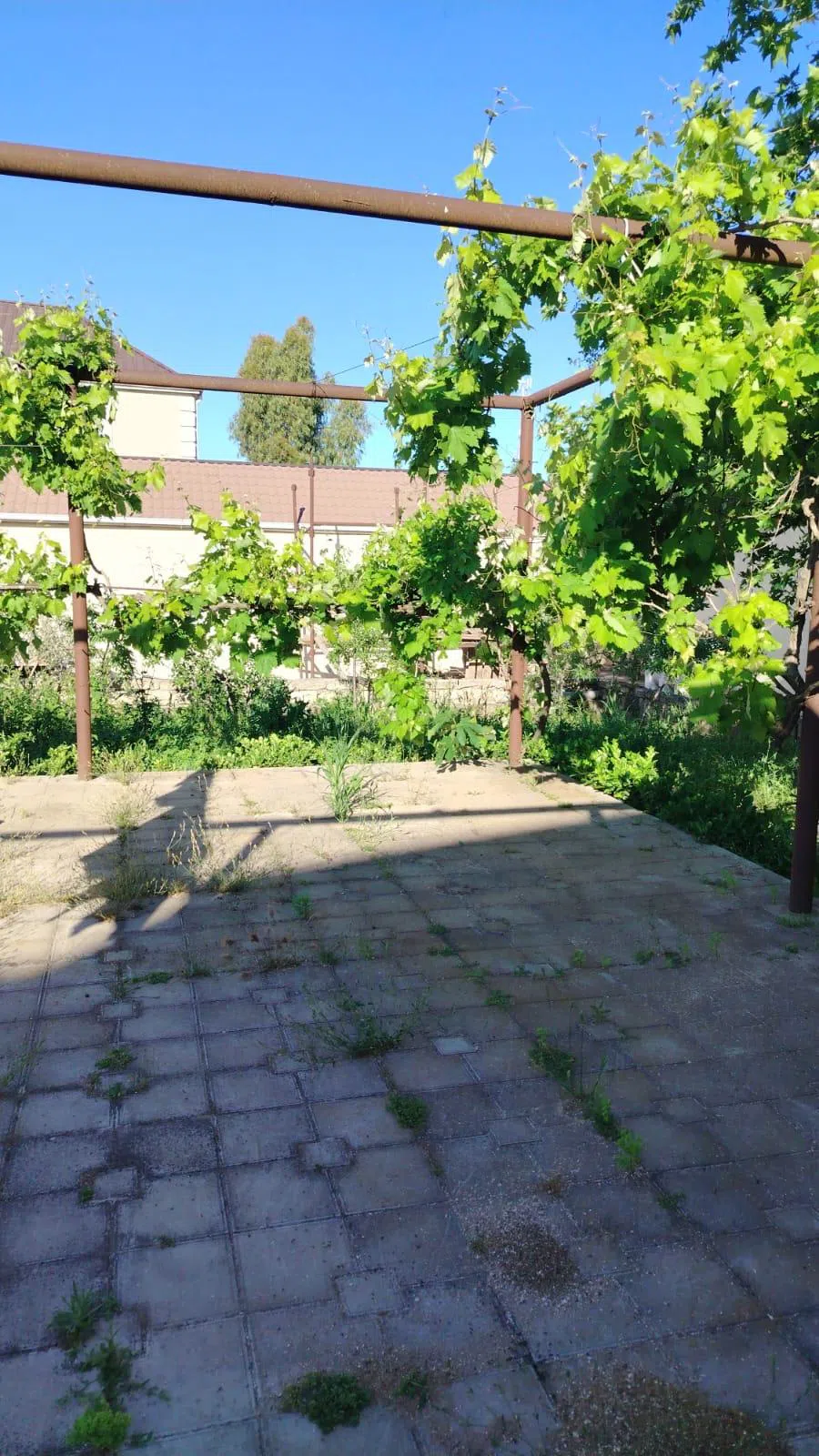 4.2 sot land plot for sale - Tenderyard