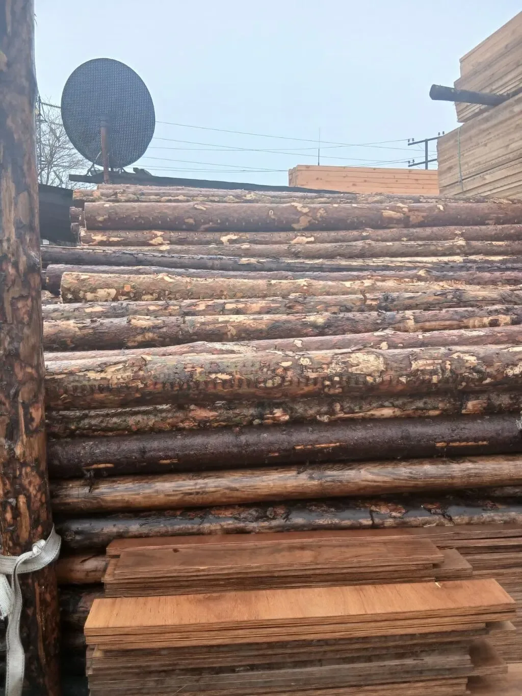 Şam ağacından yumru dirəklər və taxta materialları