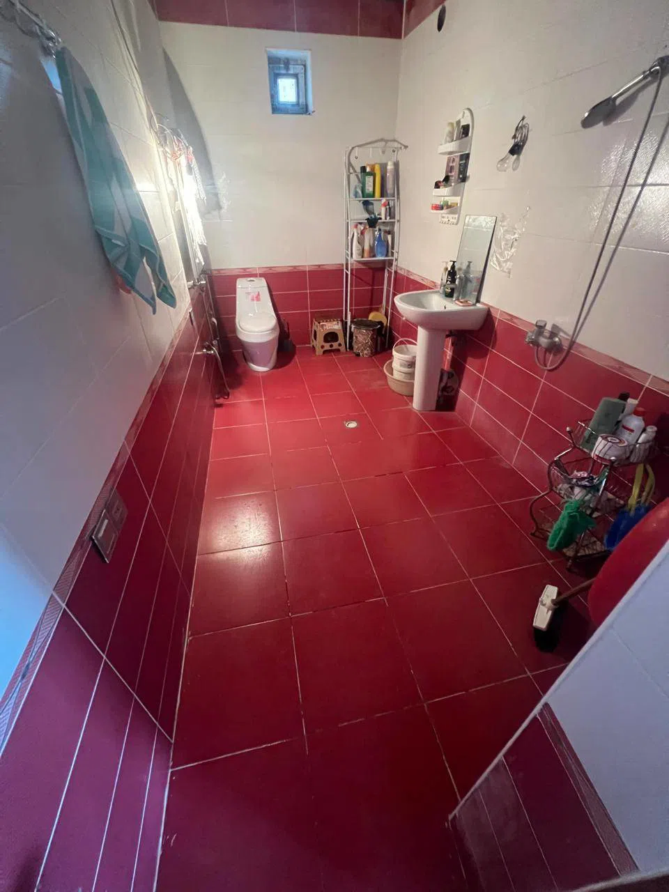 6 otaqlı həyət evi 250 m² - 5 sot torpaq sahəsində satılır — şəkil 19