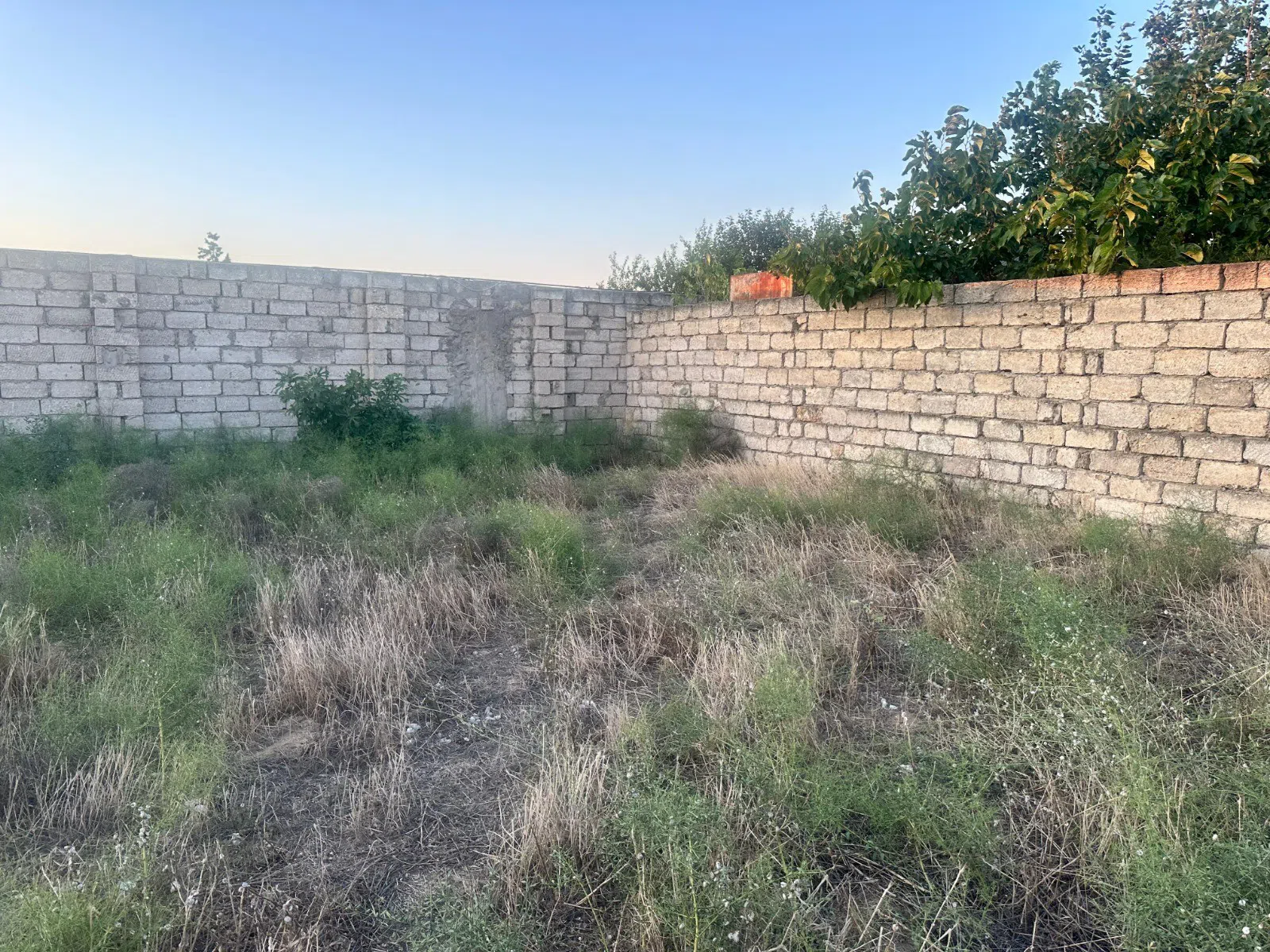 6.5 sot torpaq sahəsi satılır — şəkil 5