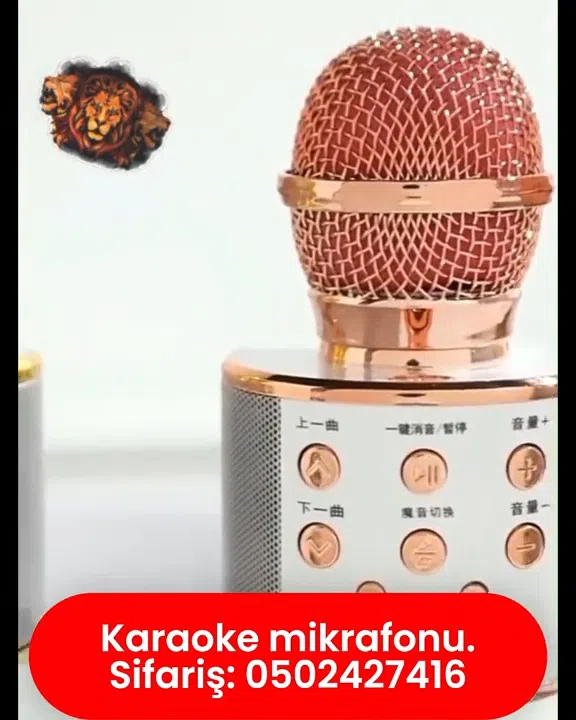 Karaoke microphone, portable, with Bluetooth connection - Tenderyard