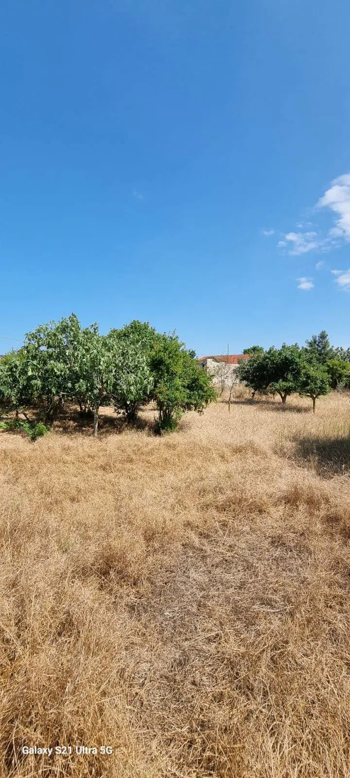 24 sot torpaq sahəsi satılır — şəkil 10