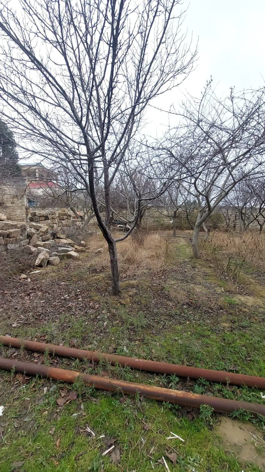6 otaqlı villa 450 m² - 16 sot torpaq sahəsində satılır — şəkil 25